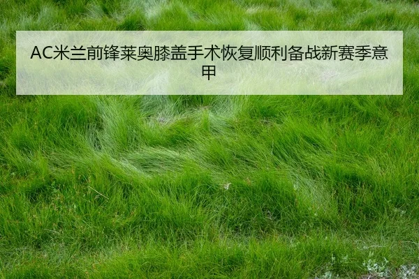 AC米兰前锋莱奥膝盖手术恢复顺利备战新赛季意甲
