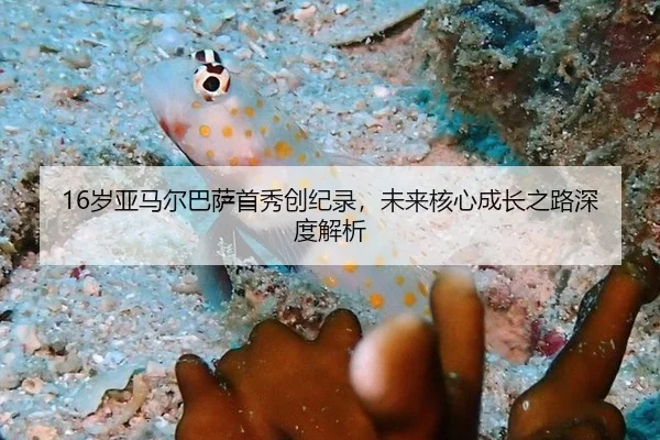 16岁亚马尔巴萨首秀创纪录，未来核心成长之路深度解析